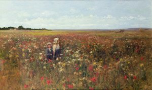 Le champ de coquelicots, 1897